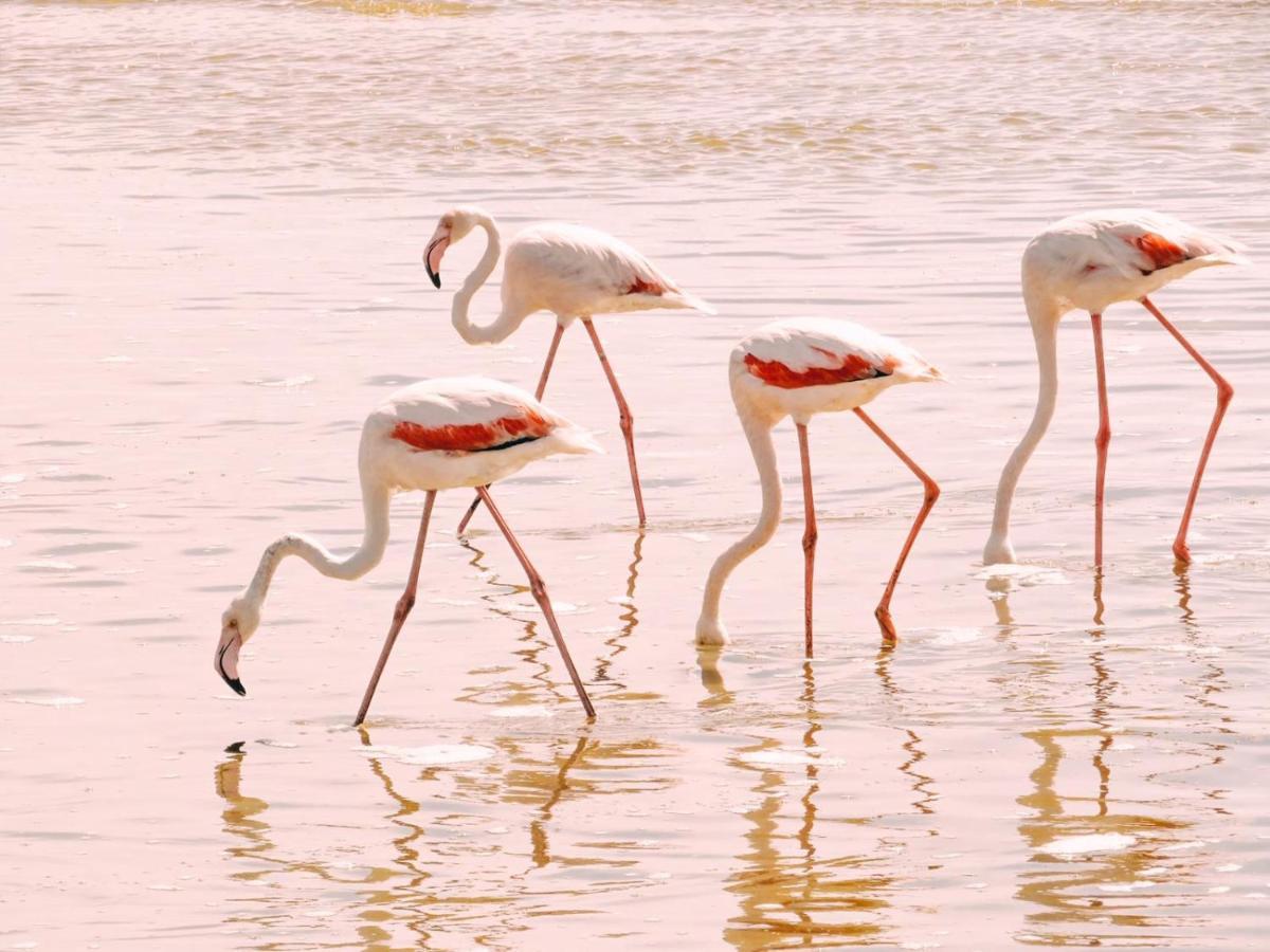 Lagoon View Self Catering ウォルビスベイ エクステリア 写真