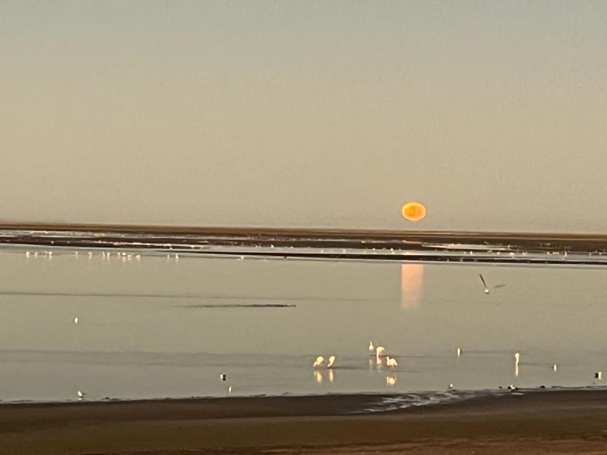 Lagoon View Self Catering ウォルビスベイ エクステリア 写真